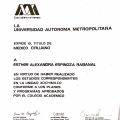Ampliar imagen: certificate 13