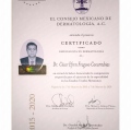 Ampliar imagen: certificate 4