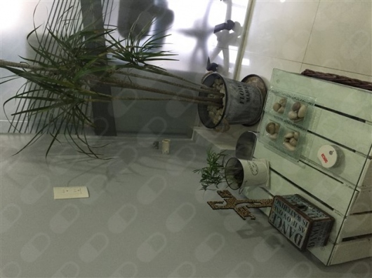 Zulema Ileana Valdez Sánchez-4