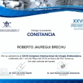 Ampliar imagen: certificate 27