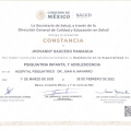 Ampliar imagen: certificate 1