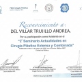 Ampliar imagen: certificate 6