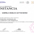 Ampliar imagen: certificate 8