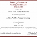 Ampliar imagen: certificate 13
