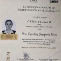 Ampliar imagen: certificate 2