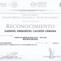Ampliar imagen: certificate 11