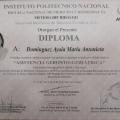 Ampliar imagen: certificate 4