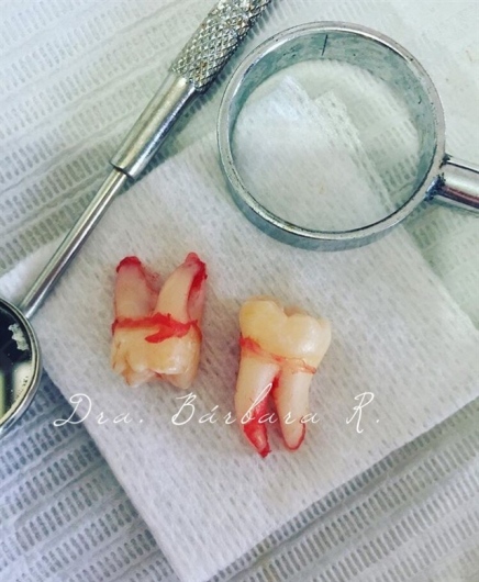 Guadalupe Bárbara Ramírez Díaz-5