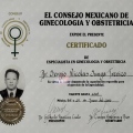 Ampliar imagen: certificate 2