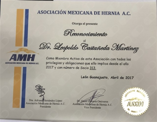 Leopoldo Castañeda Martínez-5