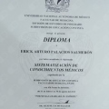 Ampliar imagen: certificate 7