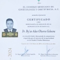 Ampliar imagen: certificate 3