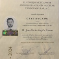 Ampliar imagen: certificate 3
