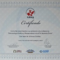 Ampliar imagen: certificate 44