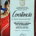 Ampliar imagen: certificate 12