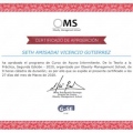 Ampliar imagen: certificate 7