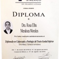 Ampliar imagen: certificate 3
