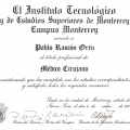 Ampliar imagen: certificate 1