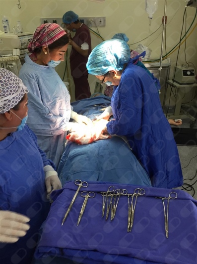 Maria Del Pilar Méndez Polanco-4