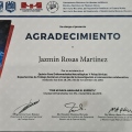 Ampliar imagen: certificate 9