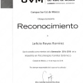Ampliar imagen: certificate 4