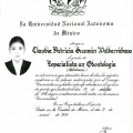 Ampliar imagen: certificate 6