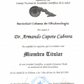 Ampliar imagen: certificate 7