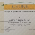 Ampliar imagen: certificate 88