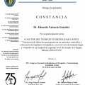 Ampliar imagen: certificate 17