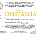 Ampliar imagen: certificate 125