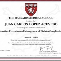 Ampliar imagen: certificate 2