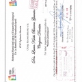 Ampliar imagen: certificate 9