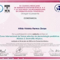 Ampliar imagen: certificate 8