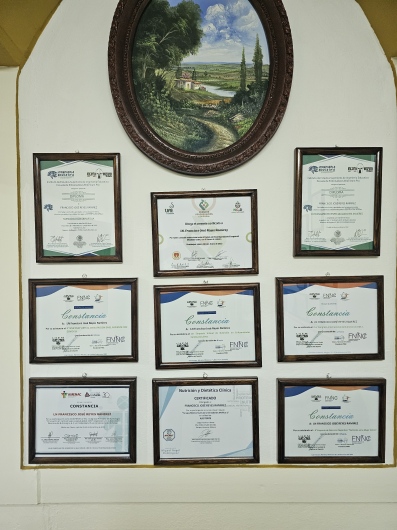 Francisco J. Reyes Ramírez-2