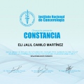 Ampliar imagen: certificate 6