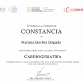 Ampliar imagen: certificate 5