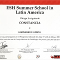 Ampliar imagen: certificate 7