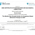 Ampliar imagen: certificate 6