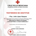 Ampliar imagen: certificate 2