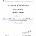 Ampliar imagen: certificate 4