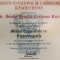 Ampliar imagen: certificate 2