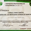 Ampliar imagen: certificate 6