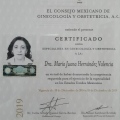 Ampliar imagen: certificate 1