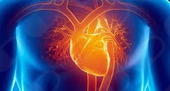 Miguel Ángel Puente Lárraga-9