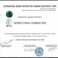 Ampliar imagen: certificate 1
