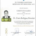 Ampliar imagen: certificate 3