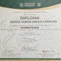 Ampliar imagen: certificate 6