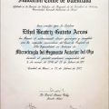 Ampliar imagen: certificate 3