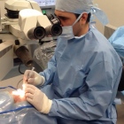 Dr. Diego Zamora de la Cruz