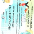 Ampliar imagen: certificate 33